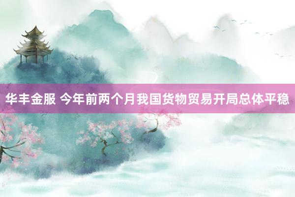 华丰金服 今年前两个月我国货物贸易开局总体平稳