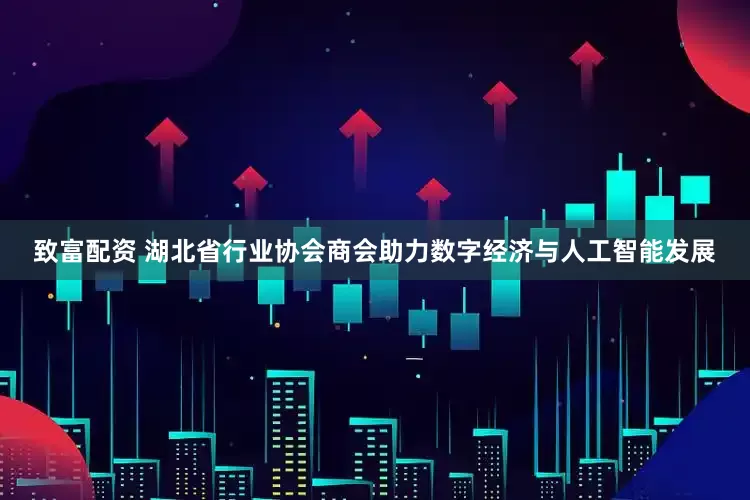 致富配资 湖北省行业协会商会助力数字经济与人工智能发展