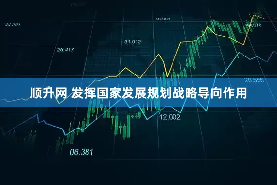 顺升网 发挥国家发展规划战略导向作用