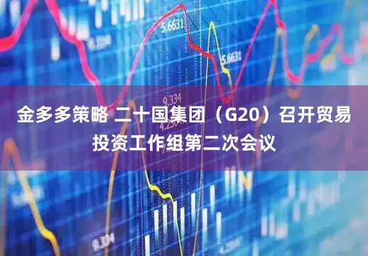 金多多策略 二十国集团（G20）召开贸易投资工作组第二次会议