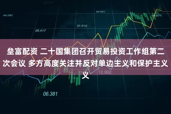 垒富配资 二十国集团召开贸易投资工作组第二次会议 多方高度关注并反对单边主义和保护主义