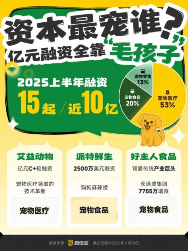 杠杆配资网 解码宠物经济：宠物写真上千元，比人贵一倍，谁在为情感“氪金”？
