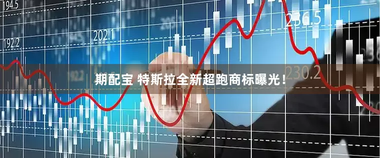 期配宝 特斯拉全新超跑商标曝光！